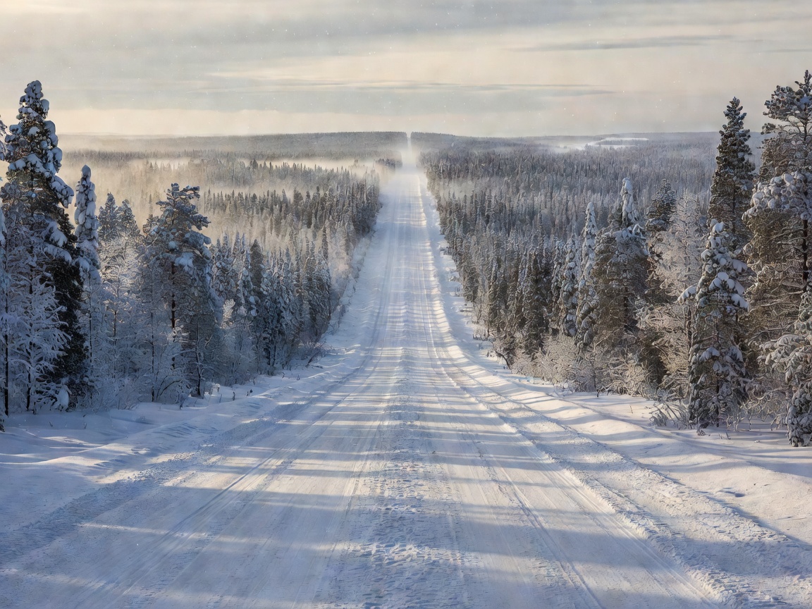 Snow-packed highway flanked by dense pine forest stretching into the Arctic horizon